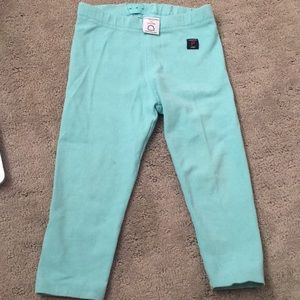 Teal leggings